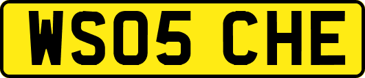 WS05CHE