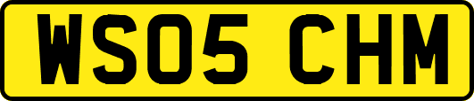 WS05CHM