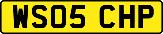 WS05CHP