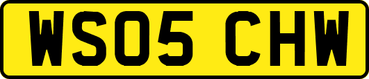 WS05CHW