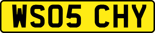 WS05CHY