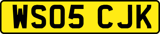 WS05CJK