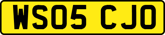 WS05CJO