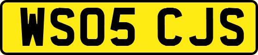 WS05CJS