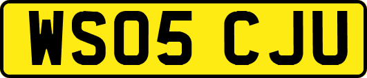 WS05CJU