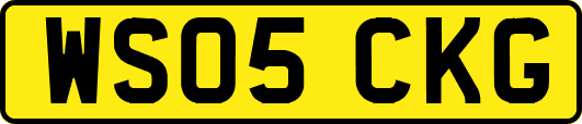 WS05CKG