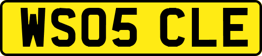 WS05CLE