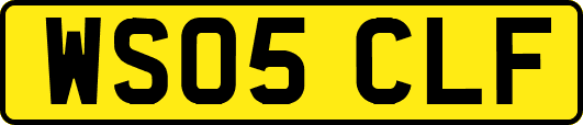 WS05CLF