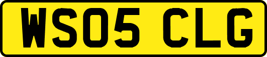 WS05CLG