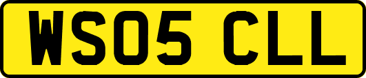 WS05CLL