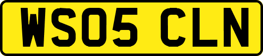 WS05CLN