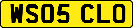 WS05CLO