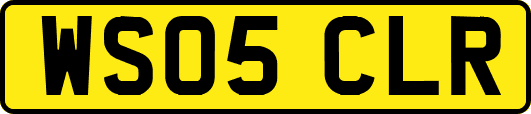 WS05CLR