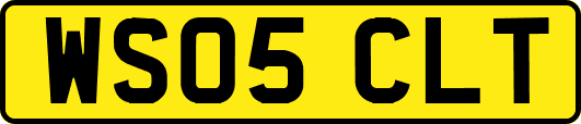 WS05CLT