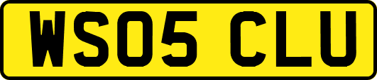 WS05CLU