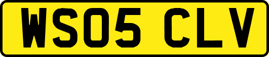 WS05CLV