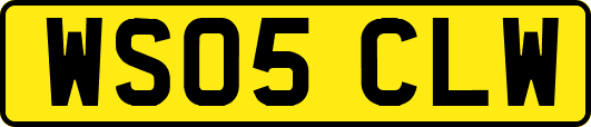 WS05CLW