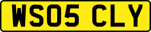 WS05CLY