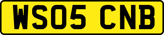 WS05CNB