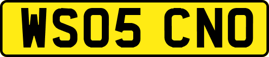 WS05CNO