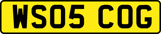 WS05COG