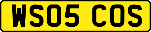 WS05COS