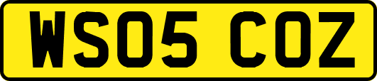 WS05COZ