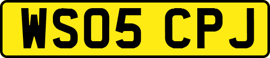 WS05CPJ
