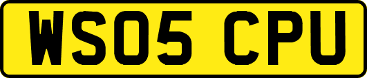 WS05CPU