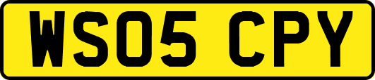 WS05CPY
