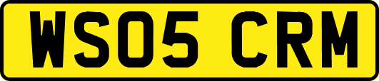 WS05CRM