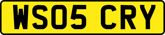 WS05CRY