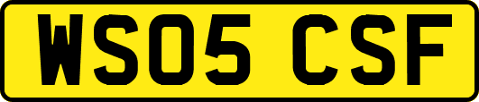 WS05CSF