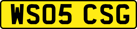 WS05CSG