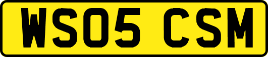 WS05CSM