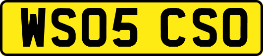 WS05CSO