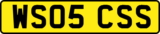 WS05CSS