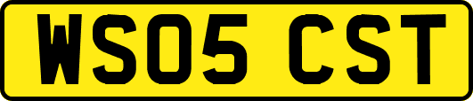 WS05CST