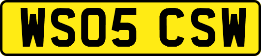 WS05CSW