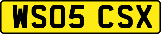 WS05CSX