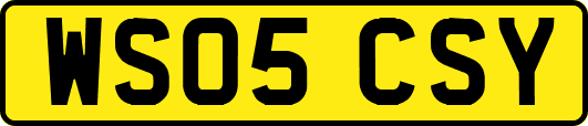 WS05CSY