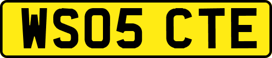 WS05CTE