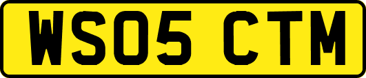 WS05CTM