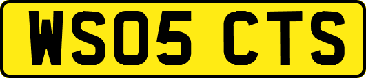 WS05CTS