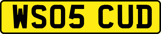 WS05CUD