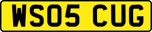 WS05CUG