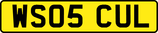 WS05CUL