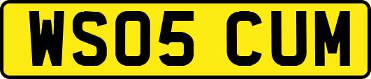 WS05CUM