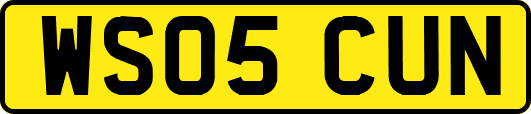 WS05CUN