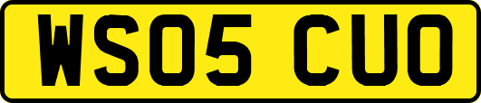 WS05CUO